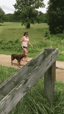 程序员能惨到什么程度？这也太虐了吧……动图形象反应程序员行为