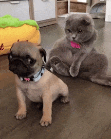 程序员能惨到什么程度？这也太虐了吧……动图形象反应程序员行为