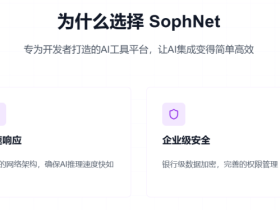SophNet AI:基于自研TPU的云算力平台,提供极速AI模型API服务
